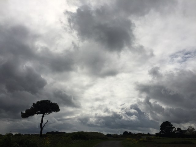 384CC264-75FE-4CFC-B864-69B05A5FC4D6