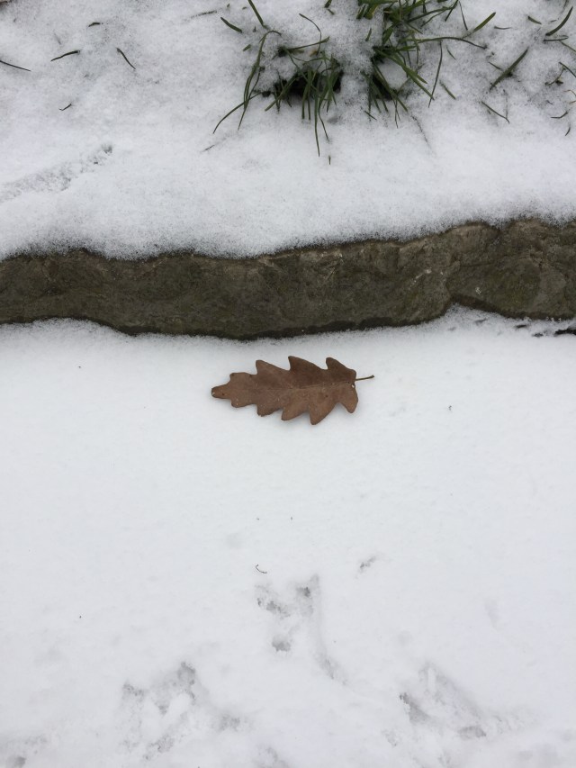 A3EF5EBA-7260-4DFF-8BC3-8D73AB1DAF35