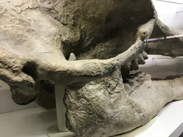 1CADC193-4A11-441E-9DE6-A6CCD3518A40