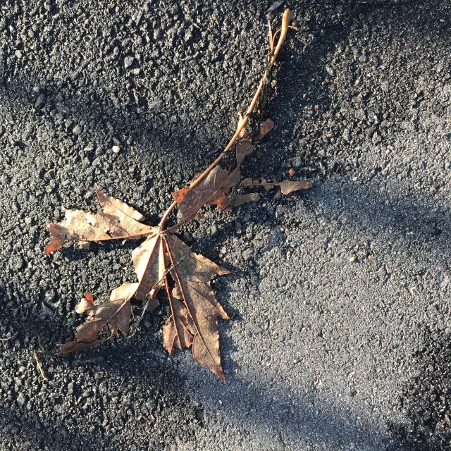 01D28339-719D-4556-AAF4-7872BB090651