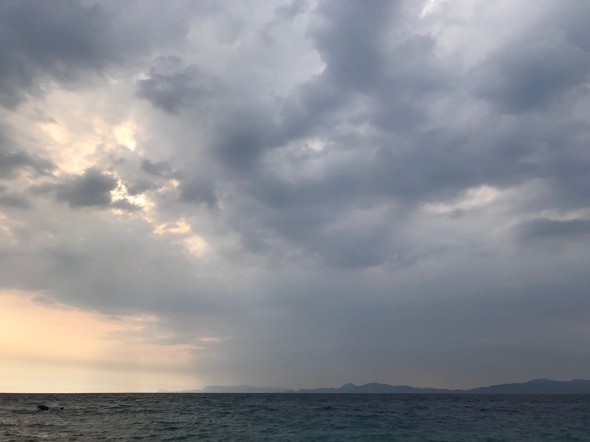 5D0B208E-55EC-4FFF-988E-8A9D9C4F06BC